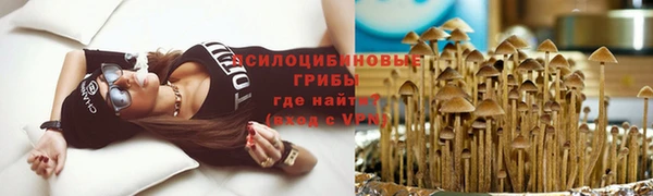 кокс Баксан
